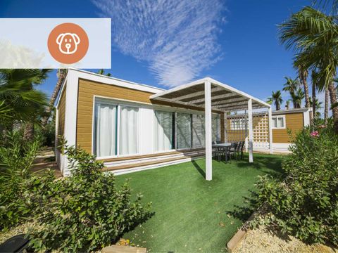 Bungalow 2 personnes - Cacao - Prix