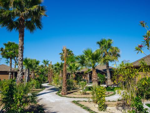 Camping Alannia Costa Blanca - Camping Alicante - Image N°3