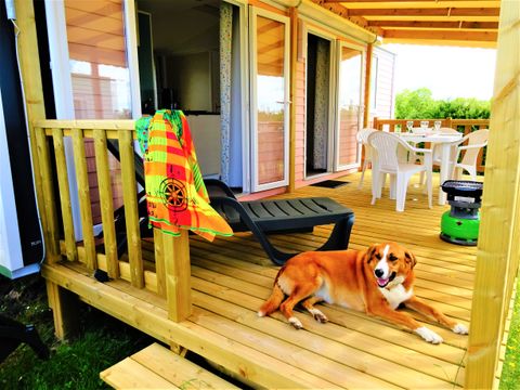 Camping Le Port de Moricq - Camping Vendée - Image N°8