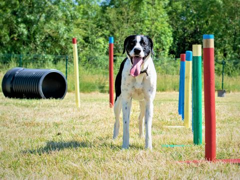 Camping Le Port de Moricq - Camping Vendée - Image N°49