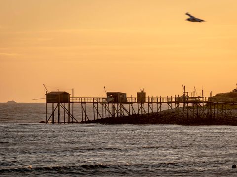 Camping Paradis A La Corniche - Camping Charente-Maritime - Image N°19