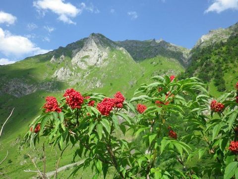 Camping du Lac - Camping Hautes-Pyrénées - Image N°65