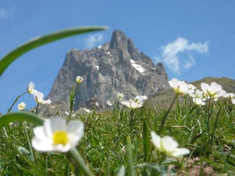 Camping du Lac - Camping Hautes-Pyrénées - Image N°64