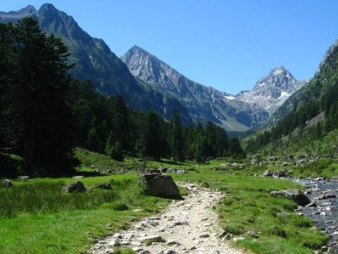 Camping du Lac - Camping Hautes-Pyrénées - Image N°78