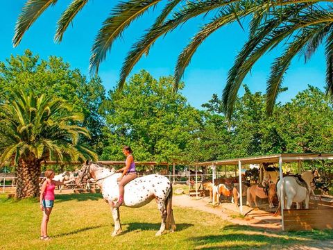 Domaine Résidentiel de Plein Air Le Neptune - Camping Pyrénées-Orientales - Image N°31