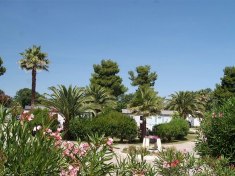 Emplacement - Camping