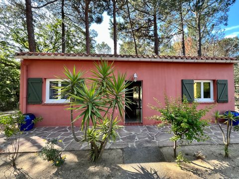 VILLA 8 personnes - Villa Massane