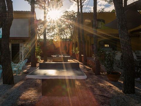 Camping Domaine des Mimosas - Camping Pyrénées-Orientales - Image N°24