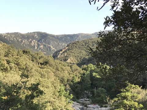 Camping FLOWER  Les Chênes Rouges - Camping Pyrénées-Orientales - Image N°20