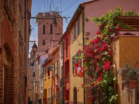 Camping La Coste Rouge - Camping Pyrénées-Orientales - Image N°16