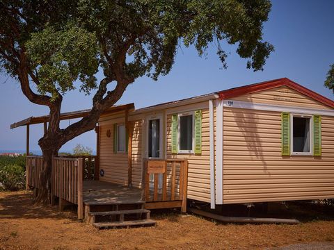 Camping La Coste Rouge - Camping Pyrénées-Orientales - Image N°15