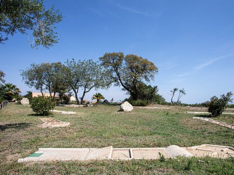 Camping La Coste Rouge - Camping Pyrénées-Orientales - Image N°8