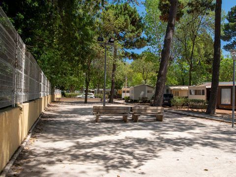 Camping Club Le Littoral 5* - MS VACANCES - Camping Pyrénées-Orientales - Image N°32