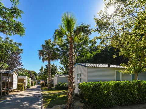 Camping Club Le Littoral 5* - MS VACANCES - Camping Pyrénées-Orientales - Image N°53