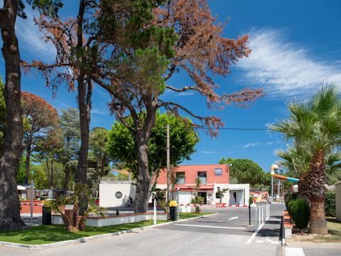 Camping Club Le Littoral 5* - MS VACANCES - Camping Pyrénées-Orientales - Image N°15