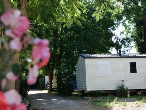 Camping Sol y Mar - Camping Pyrénées-Orientales - Image N°18