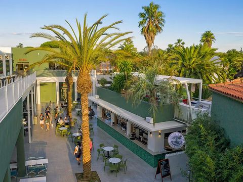 Camping club La Sirène - Camping Pyrénées-Orientales - Image N°13