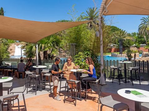 Camping L'Hippocampe  - Camping Pyrénées-Orientales - Image N°8