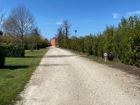 Camping l'Arlésienne - Camping Bouches-du-Rhône - Image N°26