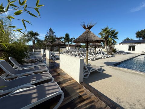 Camping Crin Blanc - Camping Bouches-du-Rhône - Image N°4