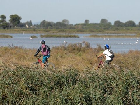 Camping Crin Blanc - Camping Bouches-du-Rhône - Image N°71