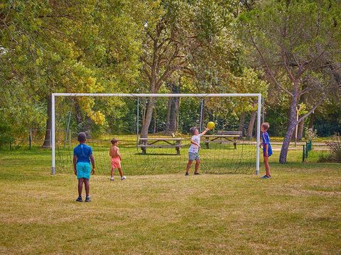 Camping Crin Blanc - Camping Bouches-du-Rhône - Image N°18
