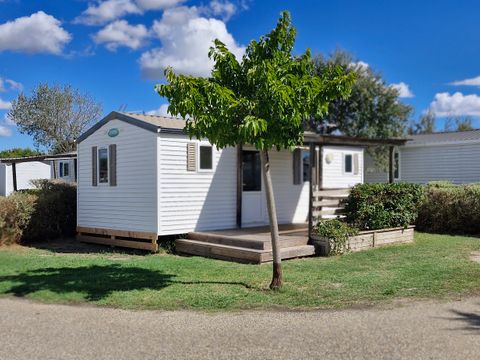 Camping Crin Blanc - Camping Bouches-du-Rhône - Image N°40