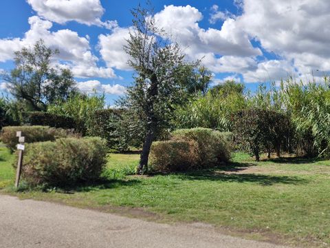 Camping Crin Blanc - Camping Bouches-du-Rhône - Image N°43