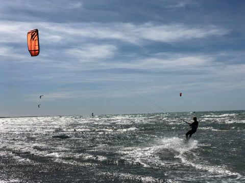 Camping Crin Blanc - Camping Bouches-du-Rhône - Image N°73