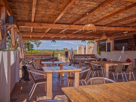 Camping Crin Blanc - Camping Bouches-du-Rhône - Image N°24