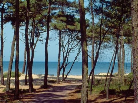 Camping du Petit Pont - Camping Charente-Maritime - Image N°4