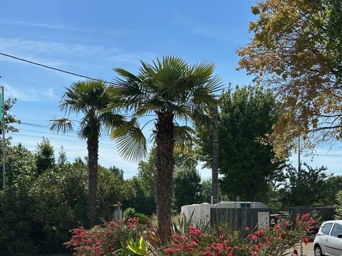 Camping du Petit Pont - Camping Charente-Maritime - Image N°44