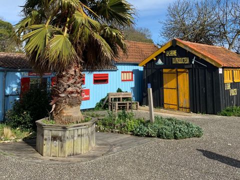 Camping du Petit Pont - Camping Charente-Maritime - Image N°32