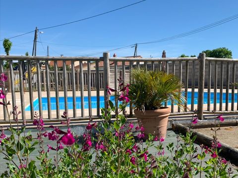 Camping du Petit Pont - Camping Charente-Maritime - Image N°11