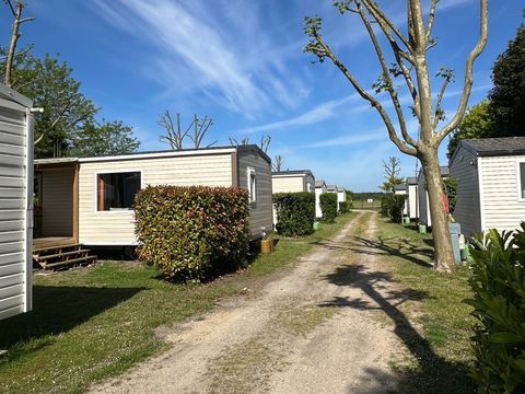 Camping du Petit Pont - Camping Charente-Maritime - Image N°55