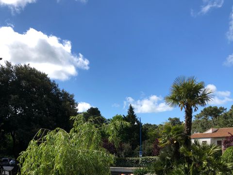 Camping du Petit Pont - Camping Charente-Maritime - Image N°41