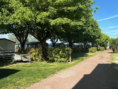 Camping du Petit Pont - Camping Charente-Maritime - Image N°57