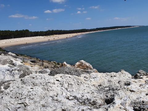 Camping du Petit Pont - Camping Charente-Maritime - Image N°12