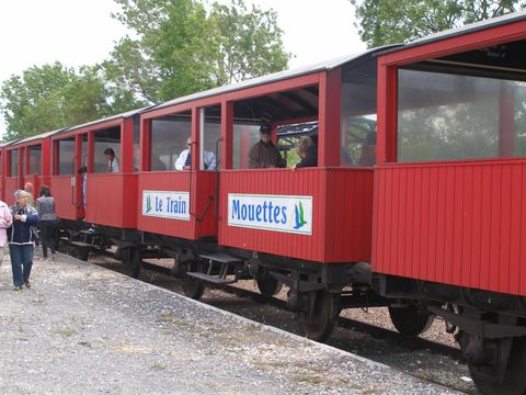 Camping du Petit Pont - Camping Charente-Maritime - Image N°36