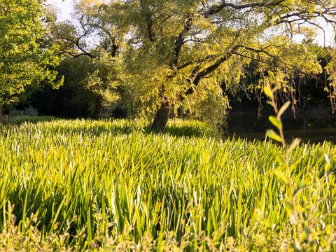 Camping Campilo - Camping Vendée - Image N°35