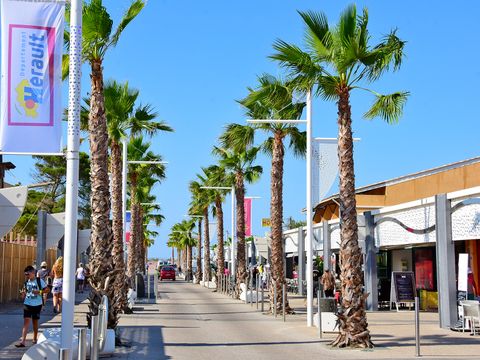 Camping Les Salisses  - Camping Hérault - Image N°45