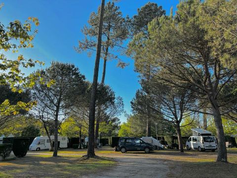Camping Le Braou - Camping Gironde - Image N°41