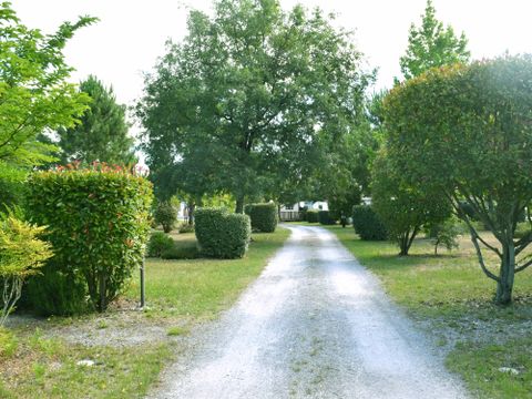 Camping Le Braou - Camping Gironde - Image N°23