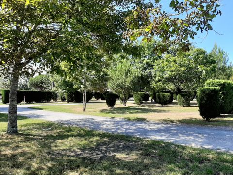 Camping Le Braou - Camping Gironde - Image N°22
