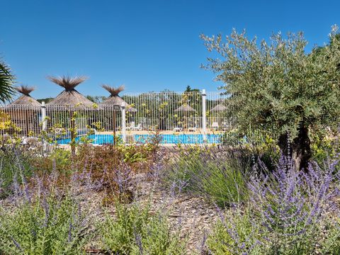 Camping l'Emeraude du Verdon - Camping Var - Image N°2