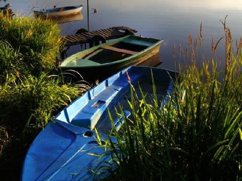 Camping Landes Bleues - Camping Landes - Image N°45
