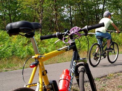 Camping Landes Bleues - Camping Landes - Image N°38