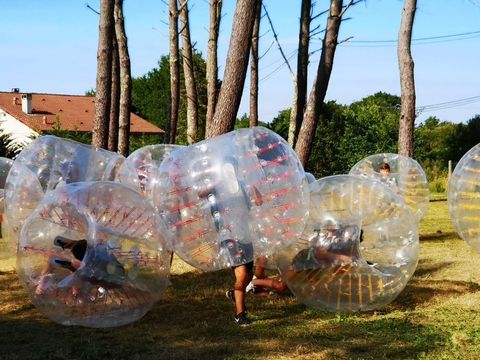 Camping Landes Bleues - Camping Landes - Image N°22