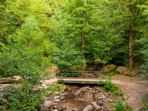 Camping d'Autun - Camping Saône-et-Loire - Image N°6