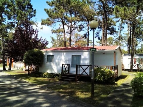 MOBILHOME 5 personnes - NEPTUNO